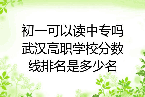 初一可以读中专吗武汉高职学校分数线排名是多少名