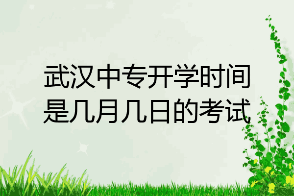 武汉中专开学时间是几月几日的考试
