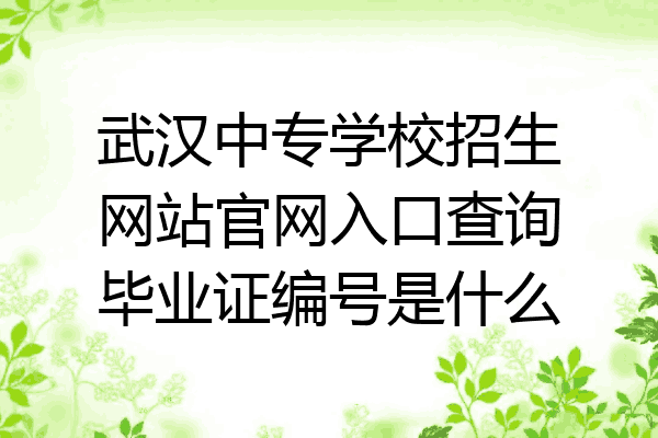 武汉中专学校招生网站官网入口查询毕业证编号是什么