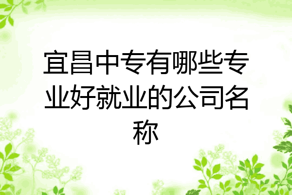 宜昌中专有哪些专业好就业的公司名称