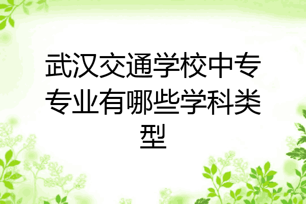 武汉交通学校中专专业有哪些学科类型