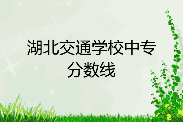 湖北交通学校中专分数线