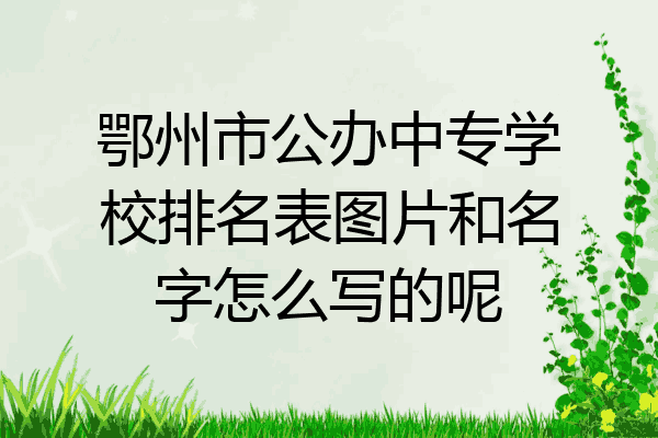 鄂州市公办中专学校排名表图片和名字怎么写的呢