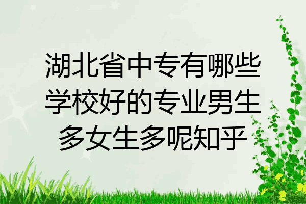 湖北省中专有哪些学校好的专业男生多女生多呢知乎