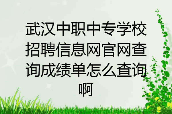 武汉中职中专学校招聘信息网官网查询成绩单怎么查询啊