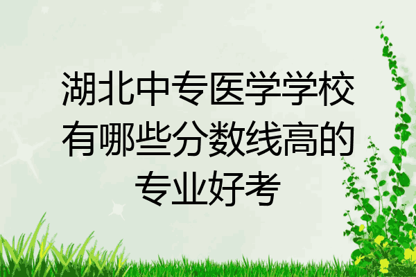 湖北中专医学学校有哪些分数线高的专业好考