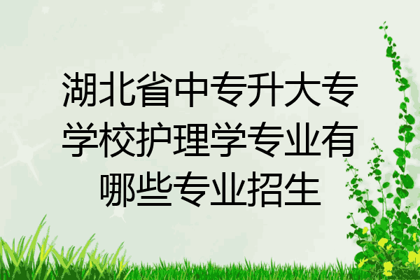 湖北省中专升大专学校护理学专业有哪些专业招生