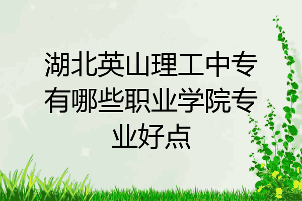 湖北英山理工中专有哪些职业学院专业好点