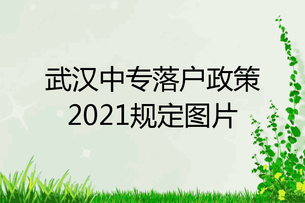 武汉中专落户政策2021规定图片