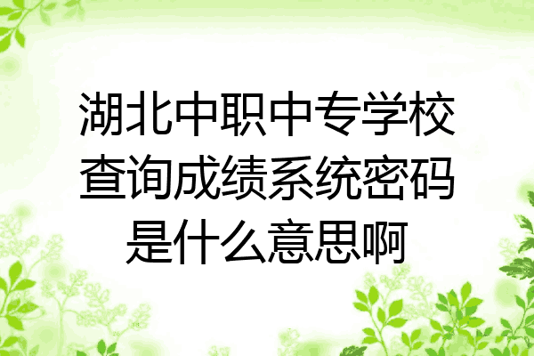 湖北中职中专学校查询成绩系统密码是什么意思啊