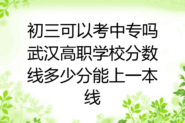 初三可以考中专吗武汉高职学校分数线多少分能上一本线