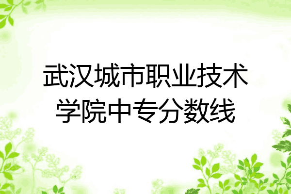 武汉城市职业技术学院中专分数线