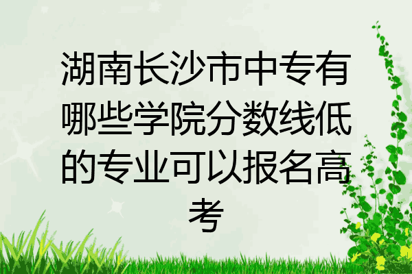 湖南长沙市中专有哪些学院分数线低的专业可以报名高考
