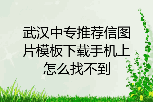 武汉中专推荐信图片模板下载手机上怎么找不到