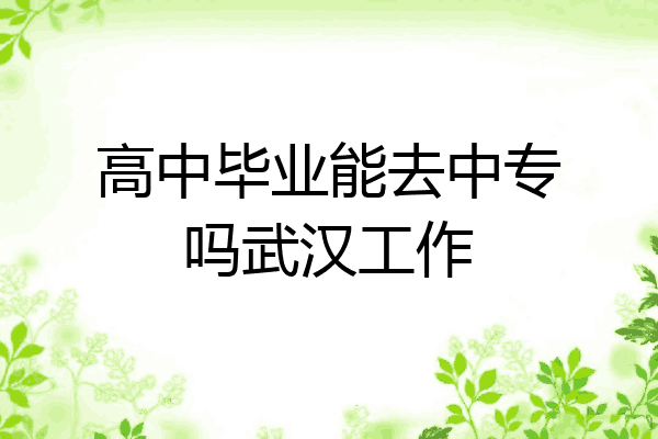 高中毕业能去中专吗武汉工作