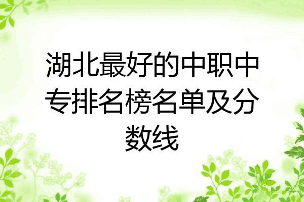 湖北最好的中职中专排名榜名单及分数线