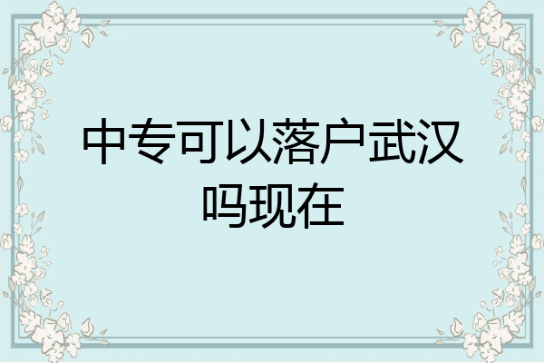 中专可以落户武汉吗现在