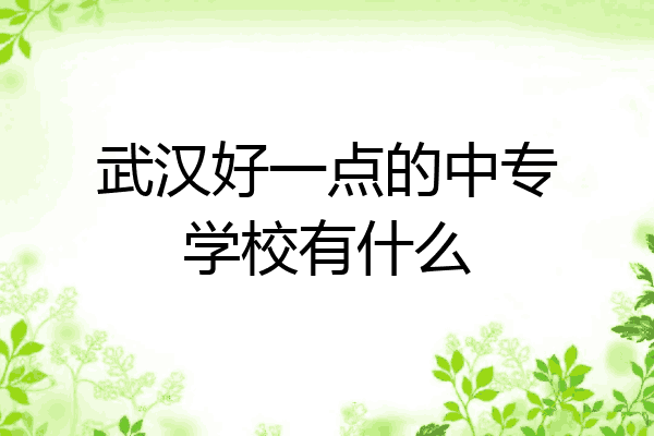 武汉好一点的中专学校有什么
