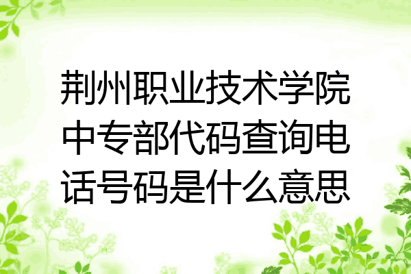 荆州职业技术学院中专部代码查询电话号码是什么意思