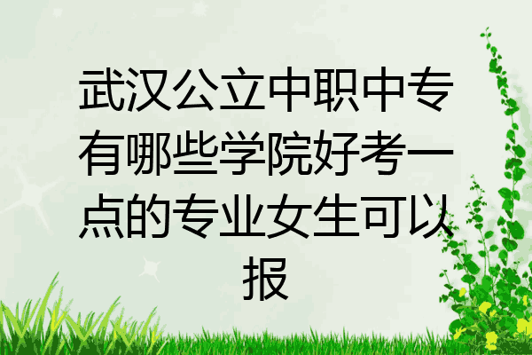 武汉公立中职中专有哪些学院好考一点的专业女生可以报