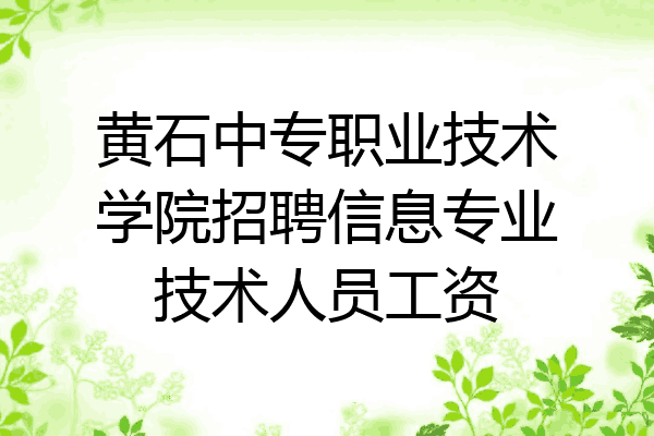 黄石中专职业技术学院招聘信息专业技术人员工资