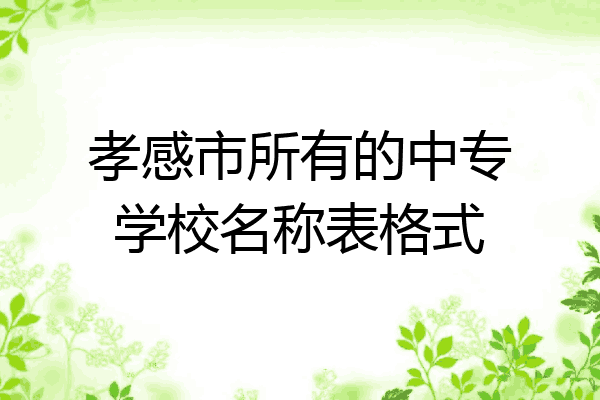 孝感市所有的中专学校名称表格式