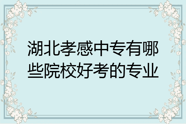 湖北孝感中专有哪些院校好考的专业