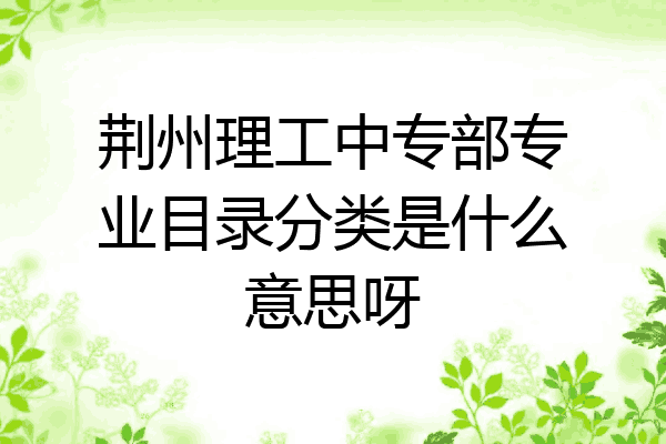 荆州理工中专部专业目录分类是什么意思呀