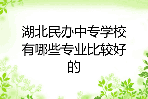 湖北民办中专学校有哪些专业比较好的