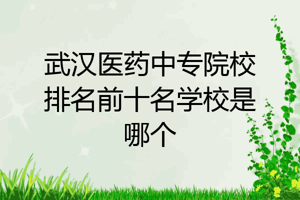 武汉医药中专院校排名前十名学校是哪个