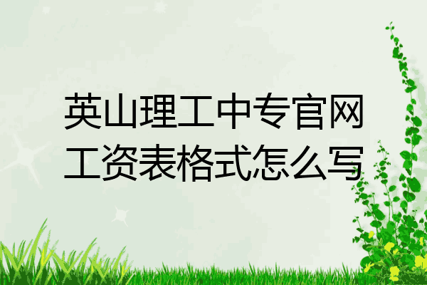 英山理工中专官网工资表格式怎么写