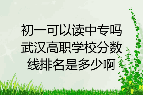 初一可以读中专吗武汉高职学校分数线排名是多少啊