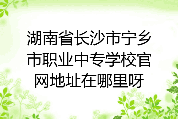 湖南省长沙市宁乡市职业中专学校官网地址在哪里呀