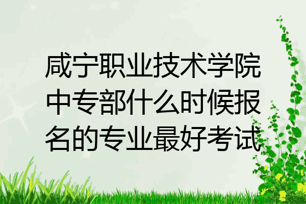 咸宁职业技术学院中专部什么时候报名的专业最好考试