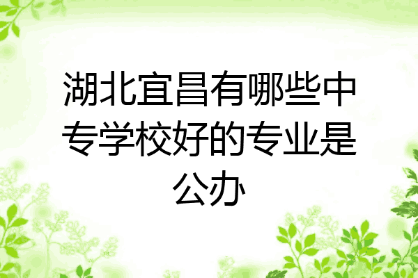 湖北宜昌有哪些中专学校好的专业是公办