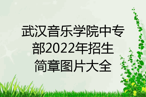 武汉音乐学院中专部2022年招生简章图片大全