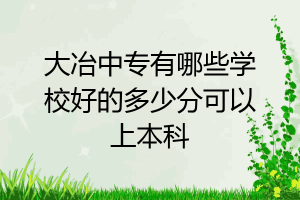 大冶中专有哪些学校好的多少分可以上本科