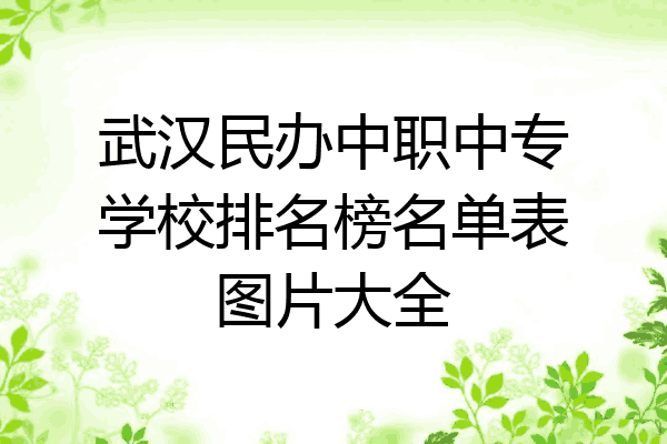 武汉民办中职中专学校排名榜名单表图片大全