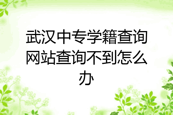 武汉中专学籍查询网站查询不到怎么办
