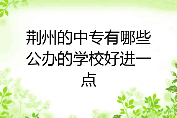 荆州的中专有哪些公办的学校好进一点
