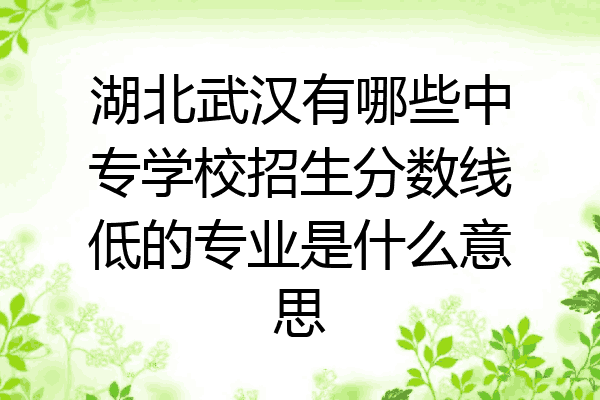 湖北武汉有哪些中专学校招生分数线低的专业是什么意思