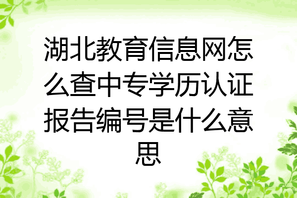 湖北教育信息网怎么查中专学历认证报告编号是什么意思