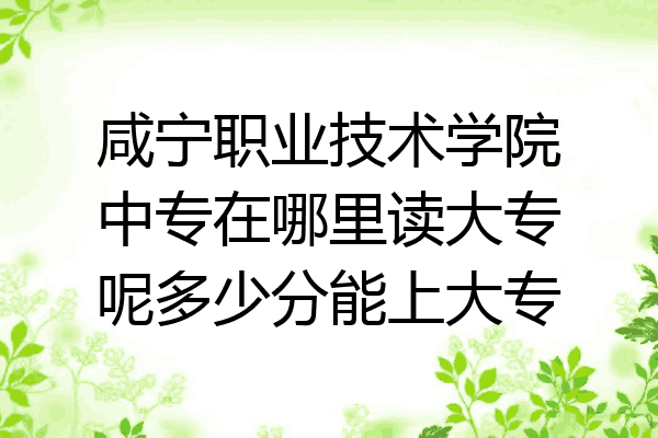 咸宁职业技术学院中专在哪里读大专呢多少分能上大专