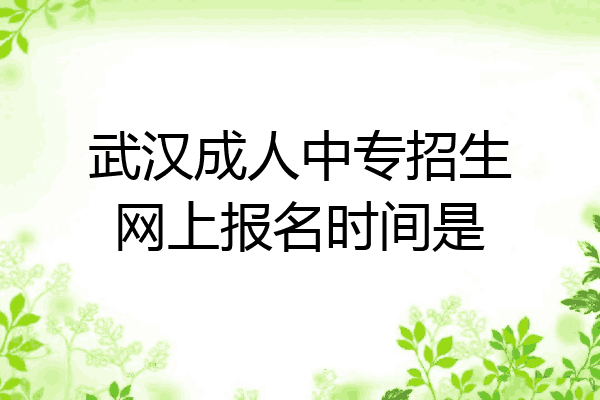 武汉成人中专招生网上报名时间是