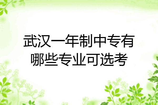 武汉一年制中专有哪些专业可选考