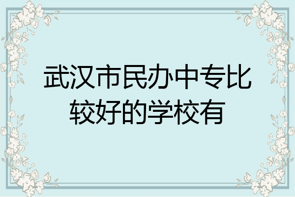 武汉市民办中专比较好的学校有