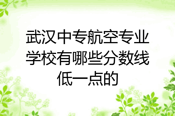 武汉中专航空专业学校有哪些分数线低一点的