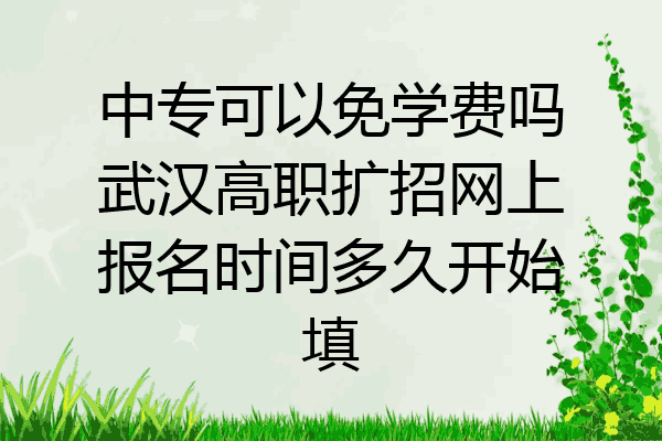 中专可以免学费吗武汉高职扩招网上报名时间多久开始填