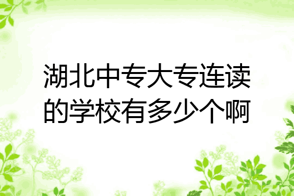 湖北中专大专连读的学校有多少个啊