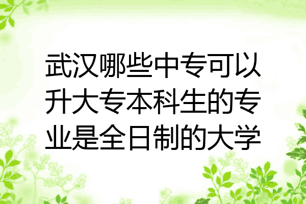 武汉哪些中专可以升大专本科生的专业是全日制的大学